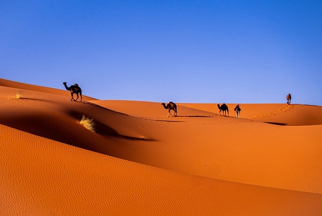 foto top marruecç